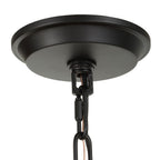 Evanston 4-Light Indoor Outdoor Lantern Pendant